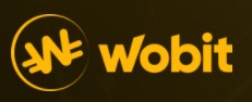 Wobit logo